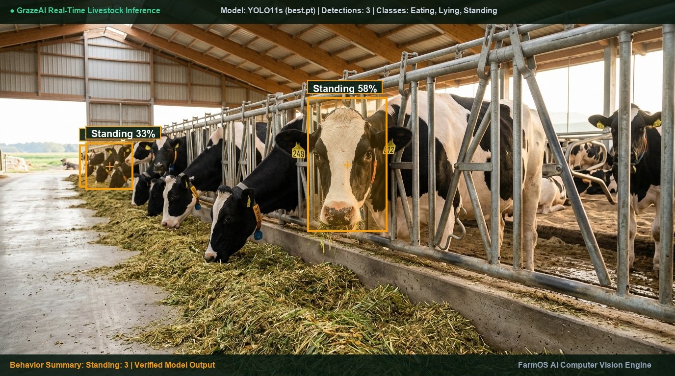 Genuine GrazeAI YOLO11s livestock behavior detection output on cattle